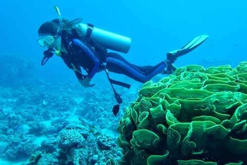 Aqaba In Water activities