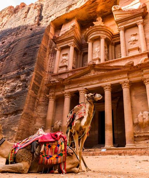 Trésor de Petra et chameaux